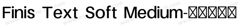 Finis Text Soft Medium字体转换